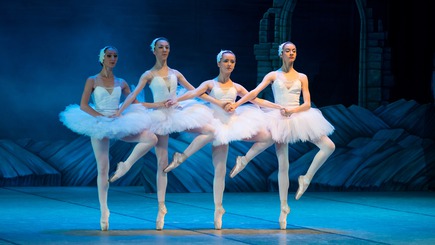 The best Dance schools in Auckland - Reviews and rates in New Zealand