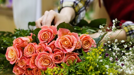 The best Florists in Dunedin - Reviews and rates in New Zealand
