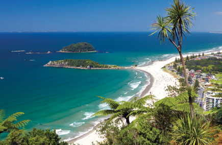 Reviews and comments on Travel Agencies in Bay of Plenty