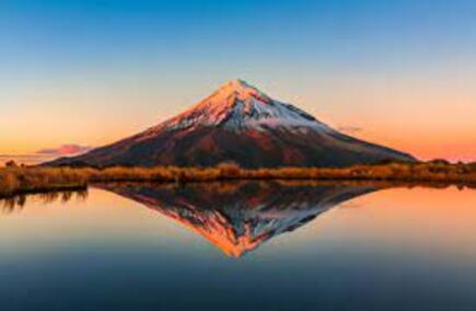 Reviews and comments on Real estate agencies in Taranaki