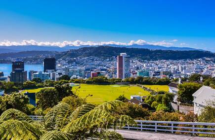Reviews and comments on Hotels in Wellington